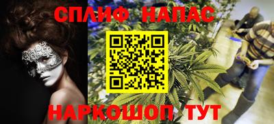 спиды Заводоуковск