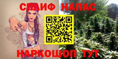 спиды Заводоуковск