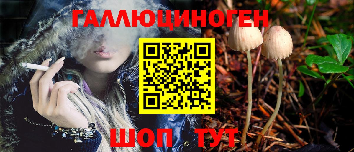 Менделеевск  Псилоцибиновые грибы MAGIC MUSHROOMS  Вход с VPN 